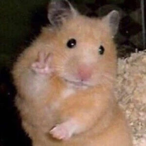 Meet your Posher, Mint